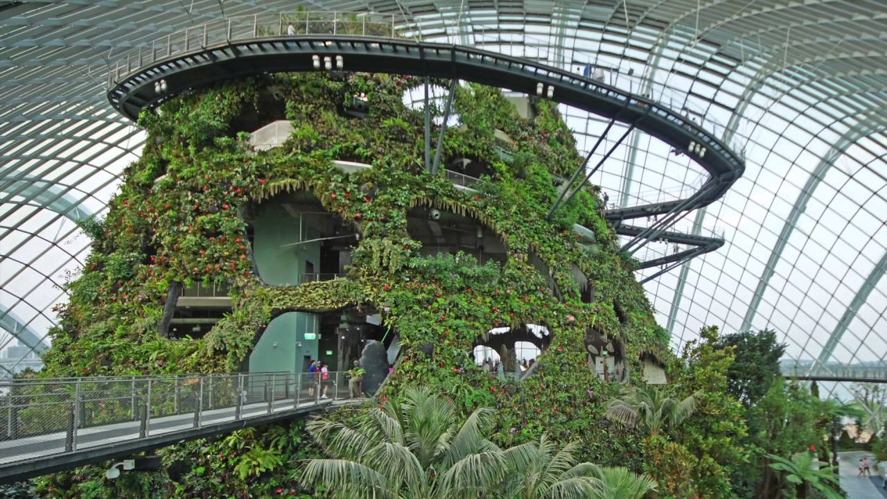 Cloud Forest Conservatory
