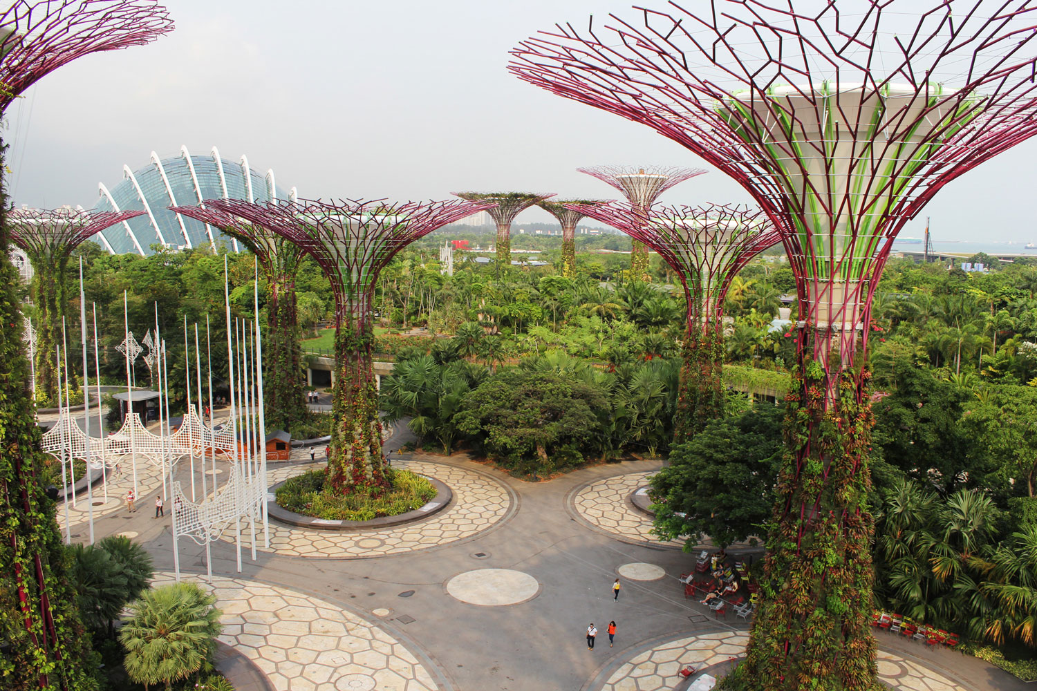 Gardens by the Bay, Marina Bay & River Cruise