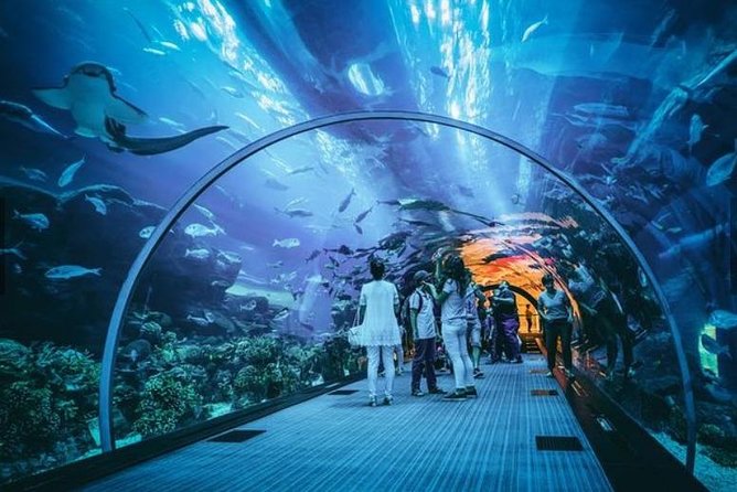 S.E.A. Aquarium, Sentosa